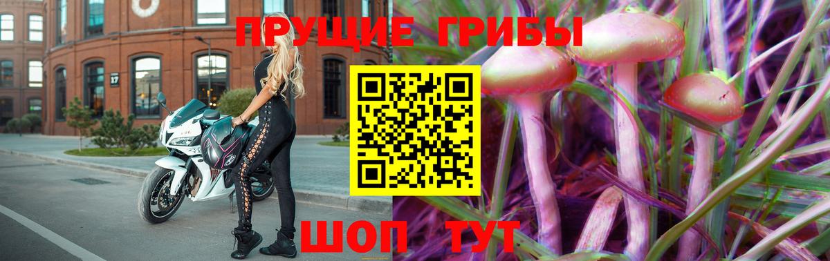 Галлюциногенные грибы MAGIC MUSHROOMS  Вход с VPN  Галлюциногенные грибы Psilocybine cubensis  Борзя 