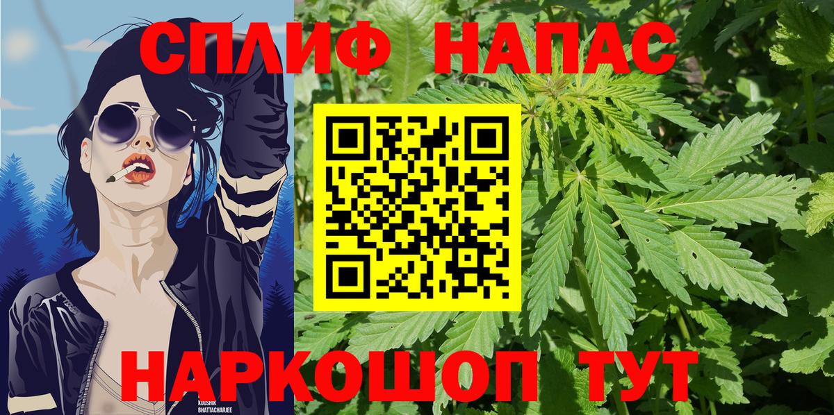 Марихуана гибрид  Конопля Ganja  Борзя  Бошки Шишки VHQ  Вход с VPN 